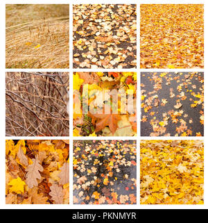 Herbst Collage mit verschiedenen Herbst Bilder und Texturen Stockfoto