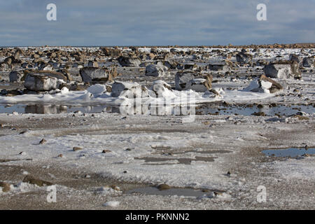 Vereisten Felsen der Küste der Hudson Bay in Manitoba, Kanada. Die tida; Shift hat Eis auf den Felsen links. Stockfoto