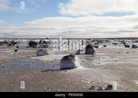 Vereisten Felsen der Küste der Hudson Bay in Manitoba, Kanada. Die tida; Shift hat Eis auf den Felsen links. Stockfoto