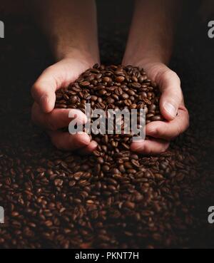 Mit Händen voller Kaffeebohnen Person. Stockfoto