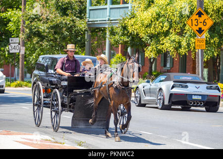 Bird-in-Hand, PA, USA - Juli 24, 2015: Ein Amish Mann in einem Pferdewagen mit zwei Jungen Laufwerke auf dem alten Philadelphia Pike in Lancaster County Stockfoto