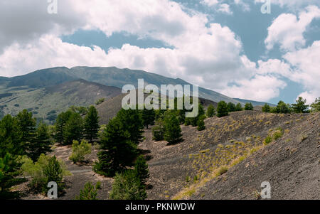 Weiche linear. Ätna, Monti Sartorius, Sizilien. Sommer 2018, Italia. Stockfoto