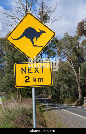 Kangaroo Warnschild nächste 2 km, Outback Australien Stockfoto