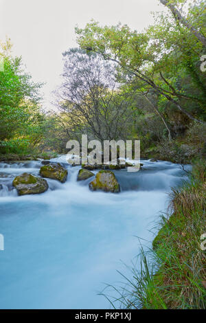 Baum in einer unscharfen Fluss mit Felsen und grünen Bäumen und Pflanzen um an glänzenden Tag Stockfoto