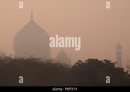 Romantische Taj Mahal die Wunder der Welt und der Stolz von Indien mit Kuppel und Minarett im frühen Morgen winter warmes Licht und Dunst Agra Indien Stockfoto