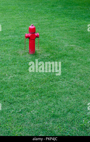 Isolierten roten Hydranten auf eine helle grüne Wiese Stockfoto