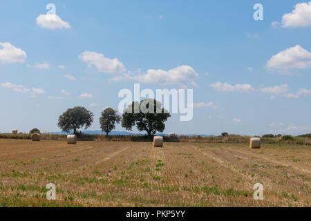 Typische Landschaft des Emporda in Katalonien:. Polnische Landschaft, abgeernteten Feldern, Heuballen. Costa Brava, Spanien. Stockfoto