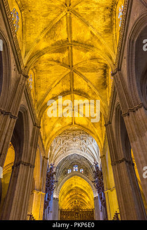 Sevilla, Spanien - 19. Juni 2017: Decke, Bögen und Säulen der gotischen Kirche in Sevilla, Spanien, Europa. Die Kathedrale von Sevilla, die auch als Cathed bekannt Stockfoto
