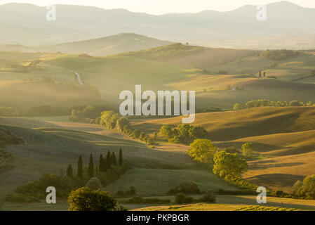 Misty Morning an der berühmten Podere Belvedere im Val d'Orcia in der Toskana, Italien, Europa EU Stockfoto