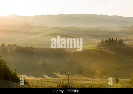 Misty Morning an der berühmten Podere Belvedere im Val d'Orcia in der Toskana, Italien, Europa EU Stockfoto