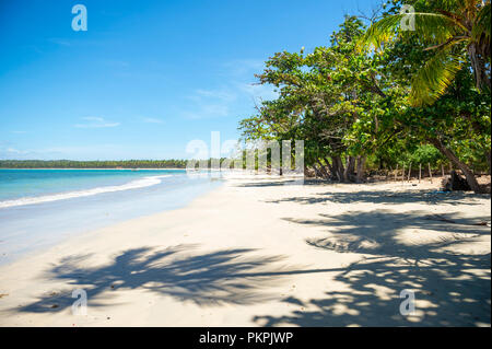 Malerische Aussicht auf einem abgelegenen brasilianischen Strand mit Schatten der Palmen fallen an der Küste in Bahia, Brasilien Stockfoto