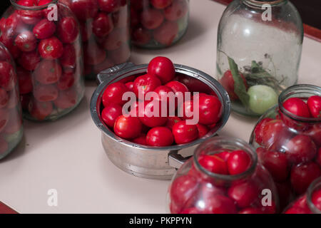 Tomaten für canning Häuser in Gläsern vorbereitet Stockfoto