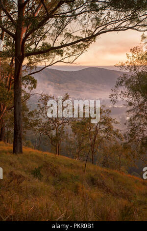 Sunrise mit goldenen Himmel und Nebel im Tal unter Wald am Tooloom Nationalpark, NSW Australien liegen. Stockfoto