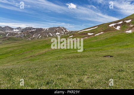 Trekker kreuz Höhe Weide mit quellgebiet Becken für das Uch Kashka Tal im Hintergrund, Keskenkyia Loop trek, Jyrgalan, Kirgisistan Stockfoto