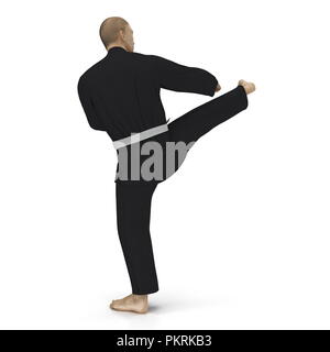 Karate Kämpfer in schwarz Kimono isoliert auf Weiss. 3D-Darstellung Stockfoto