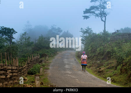 H'Mong ethnische Frau in schöne Tracht mit Szene Nebel in Sa Pa Town, Lao Cai Provinz, Vietnam Stockfoto