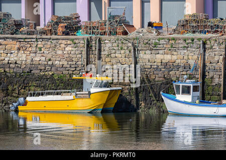 Angeln Schiffe und Hummer fykes im Hafen St Andrews, Schottland Stockfoto