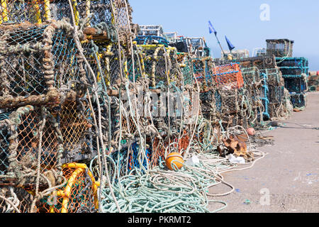 Hummer fallen im Hafen St Andrews, Schottland Stockfoto