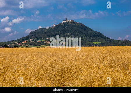 Dominanz der böhmischen Länder - Velky Bezděz Hügel mit den Ruinen eines bemerkenswerten königliche Burg aus der zweiten Hälfte des 13. Jahrhunderts von Přemysl Ot gebaut Stockfoto