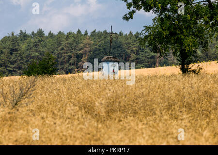 Dominanz der böhmischen Länder - Velky Bezděz Hügel mit den Ruinen eines bemerkenswerten königliche Burg aus der zweiten Hälfte des 13. Jahrhunderts von Přemysl Ot gebaut Stockfoto