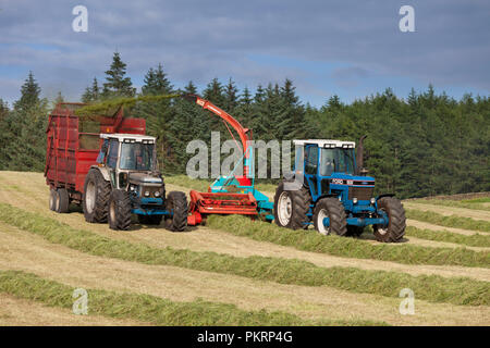 Ford 1993 8630 Traktor + Reco Mengele SH 40 N Feldhäcksler + 1989 Ford 7810 Silver Jubilee carting das Gras entfernt in einem Trailer auf einer Molkerei Stockfoto