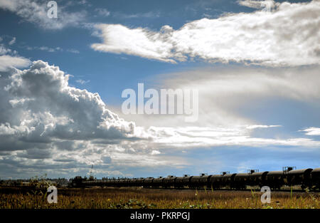 Einen langen Güterzug bestehend aus DOT-111 Typ Kesselwagen zieht in Everett, Washington, an einem sonnigen Tag unter einem dramatischen Himmel. Stockfoto