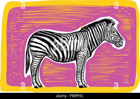 Hand gezeichnet Vektor digitale Abbildung oder Zeichnung von einem Zebra und rosa Hintergrund Stock Vektor
