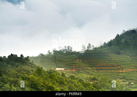 Sonnenuntergang auf dem Berg in Sapa Stadt, Vietnam. Sa Pa ist eine Stadt in der Hoang Lien Son Berge der nordwestlichen Vietnam. Stockfoto