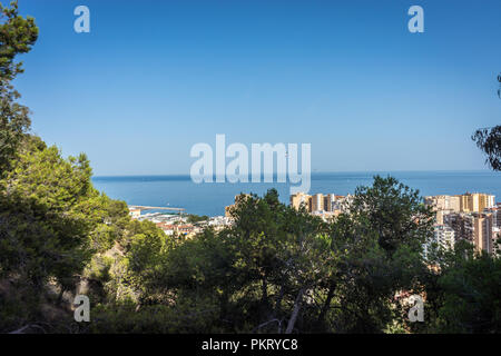 Skyline von Malaga mit Blick auf das Meer Ozean in Malaga, Spanien, Europa an einem hellen Sommertag mit blauer Himmel mit Bäumen Stockfoto