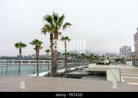 Palmen am Strand Malagueta vor ein Nebel bedeckten Hügel in Malaga, Spanien, Europa an einem bewölkten Morgen Stockfoto