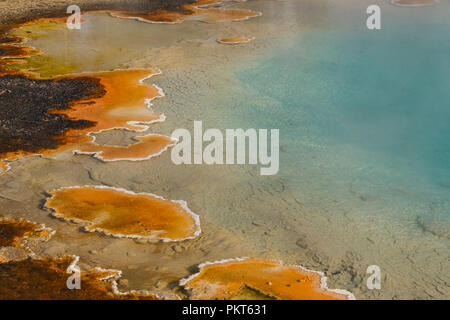 Yellowstone Hot Spring - close-up - türkisfarbenes Wasser, gelb Bakterien Flecken. Natürliche Abstraktion Stockfoto