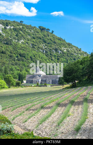 Der historischen Abtei von Senanque in der Nähe des Dorfes Gordes, Provence, Frankreich Stockfoto