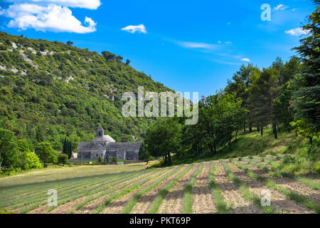 Der historischen Abtei von Senanque in der Nähe des Dorfes Gordes, Provence, Frankreich Stockfoto