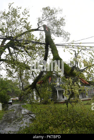 Washington, USA. 14 Sep, 2018. Einen umgestürzten Baum liegt auf der Seite einer Straße in der Nähe der Küste, in North Carolina, USA, Sept. 14, 2018. Mindestens fünf Menschen sind bisher in der Nachmahd des Hurrikans Florenz, die Freitag Nachmittag zu einem tropischen Sturm mit Windgeschwindigkeiten von 70 mph (110 km/h entlang der US-Ostküste herabgestuft wurde getötet. Quelle: Liu Jie/Xinhua/Alamy leben Nachrichten Stockfoto