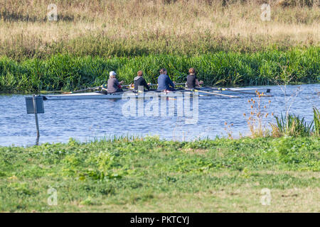 Northampton. Großbritannien Wetter. 15. September 2018. Mitglieder der Northampton Ruderclub auf ther Fluss Nene heute Morgen im hellen, sonnigen Wetter. Credit: Keith J Smith./Alamy leben Nachrichten Stockfoto