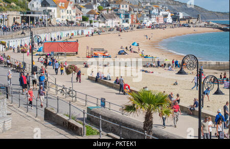 Lyme Regis, Dorset, Großbritannien. 15. September 2018. UK Wetter: Besucher und Einheimische genießen Sie warmen Sonnenschein und strahlend blauen Himmel in den Badeort Lyme Regis auf einem anderen glorreichen September Wochenende. Credit: Celia McMahon/Alamy leben Nachrichten Stockfoto