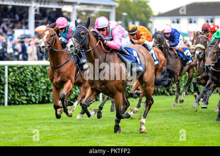 Doncaster, Großbritannien. 15 Sep 2018, Doncaster Racecourse, Doncaster, England; 2018 St Leger Festival William Hill St Leger Tag, 13,50 William Hill Portland Handicap, eine Momentofmadness geritten von W Buick gewinnt den 1350; Quelle: News Images/Alamy leben Nachrichten Stockfoto