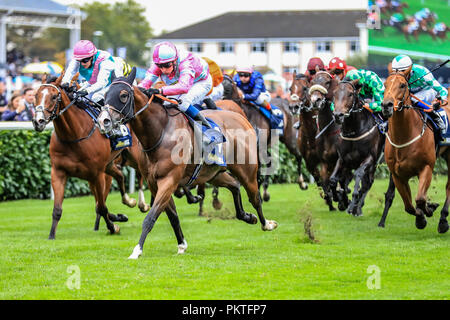 Doncaster, Großbritannien. 15 Sep 2018, Doncaster Racecourse, Doncaster, England; 2018 St Leger Festival William Hill St Leger Tag, 13,50 William Hill Portland Handicap, eine Momentofmadness geritten von W Buick gewinnt den 14.50; Quelle: News Images/Alamy leben Nachrichten Stockfoto