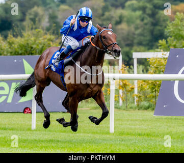 Dublin, DUB, USA. 15 Sep, 2018. September 15, 2018: Madhmoon, geritten von Kevin Prendergast, gewinnt die KPMG Champions Jugendliche Pfähle auf Irischen Meister Stakes Tag an der Rennbahn Leopardstown am 15. September 2018 in Dublin, Irland. Scott Serio/ESW/CSM/Alamy leben Nachrichten Stockfoto