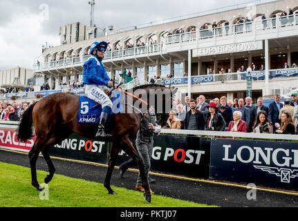 Dublin, DUB, USA. 15 Sep, 2018. September 15, 2018: Madhmoon, geritten von Kevin Prendergast, gewinnt die KPMG Champions Jugendliche Pfähle auf Irischen Meister Stakes Tag an der Rennbahn Leopardstown am 15. September 2018 in Dublin, Irland. Scott Serio/ESW/CSM/Alamy leben Nachrichten Stockfoto