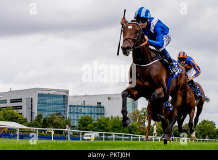 Dublin, DUB, USA. 15 Sep, 2018. September 15, 2018: Madhmoon, geritten von Kevin Prendergast, gewinnt die KPMG Champions Jugendliche Pfähle auf Irischen Meister Stakes Tag an der Rennbahn Leopardstown am 15. September 2018 in Dublin, Irland. Scott Serio/ESW/CSM/Alamy leben Nachrichten Stockfoto