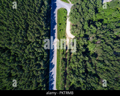 Weg im Wald, Mischwald auf beiden Seiten, Tops mit Kiefern und Birken, Antenne Drohne von Oben nach Unten anzeigen, Russland Stockfoto