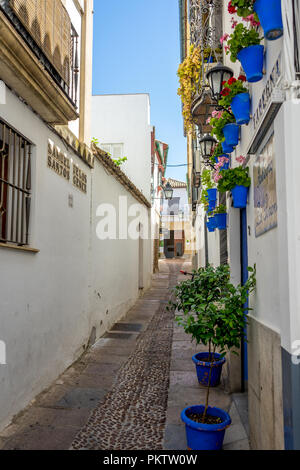 Die leeren Straßen von Cordoba am 20. Juni 2017. Flower Street oder Calleja de las Flores in Cordoba, Spanien Stockfoto