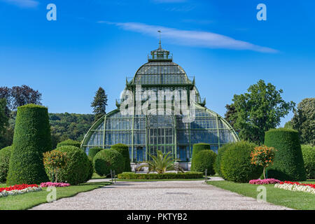 Palm House, Schlosspark Schönbrunn, Wien, Österreich Stockfoto