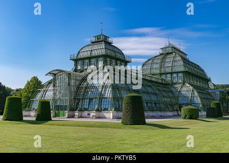 Palm House, Schlosspark Schönbrunn, Wien, Österreich Stockfoto