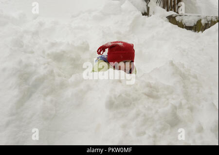 Datensatz Schneefall in den Bergen von Virginia generiert 40 plus Zoll Schnee. Hier in Pine Grove ein kleines Dorf in der Nähe von Bluemont war Ausgraben und t Stockfoto