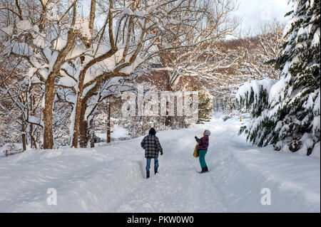 Datensatz Schneefall in den Bergen von Virginia generiert 40 plus Zoll Schnee. Hier in Pine Grove ein kleines Dorf in der Nähe von Bluemont war Ausgraben und t Stockfoto