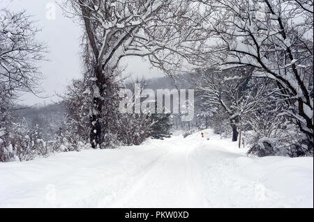 Datensatz Schneefall in den Bergen von Virginia generiert 40 plus Zoll Schnee. Hier in Pine Grove ein kleines Dorf in der Nähe von Bluemont war Ausgraben und t Stockfoto