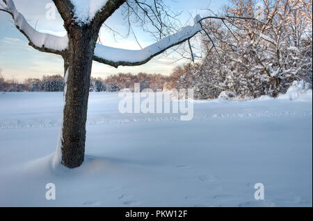 Datensatz Schneefall in den Bergen von Virginia generiert 40 plus Zoll Schnee. Hier in Pine Grove ein kleines Dorf in der Nähe von Bluemont war Ausgraben und t Stockfoto