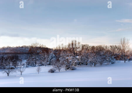 Datensatz Schneefall in den Bergen von Virginia generiert 40 plus Zoll Schnee. Hier in Pine Grove ein kleines Dorf in der Nähe von Bluemont war Ausgraben und t Stockfoto